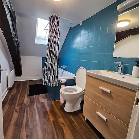Le Bourbon Hypercentre Apartment *